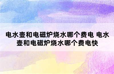 电水壶和电磁炉烧水哪个费电 电水壶和电磁炉烧水哪个费电快